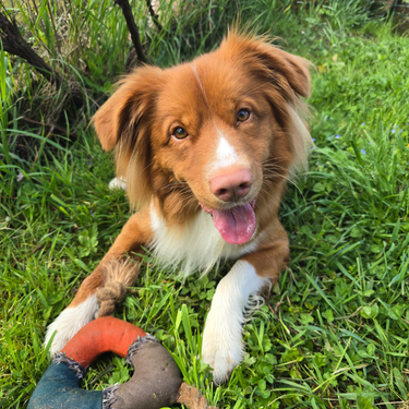 Izdelek brez naslova (11)