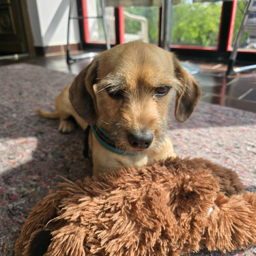 Izdelek brez naslova (12)