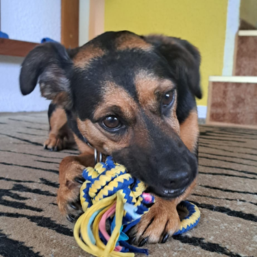 Izdelek brez naslova (5)