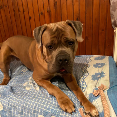 Izdelek brez naslova (8)